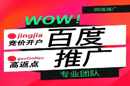 SEM代运营案例：品牌影响力提升